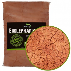 Terrario Eublepharis Dirt 1kg for Geckos